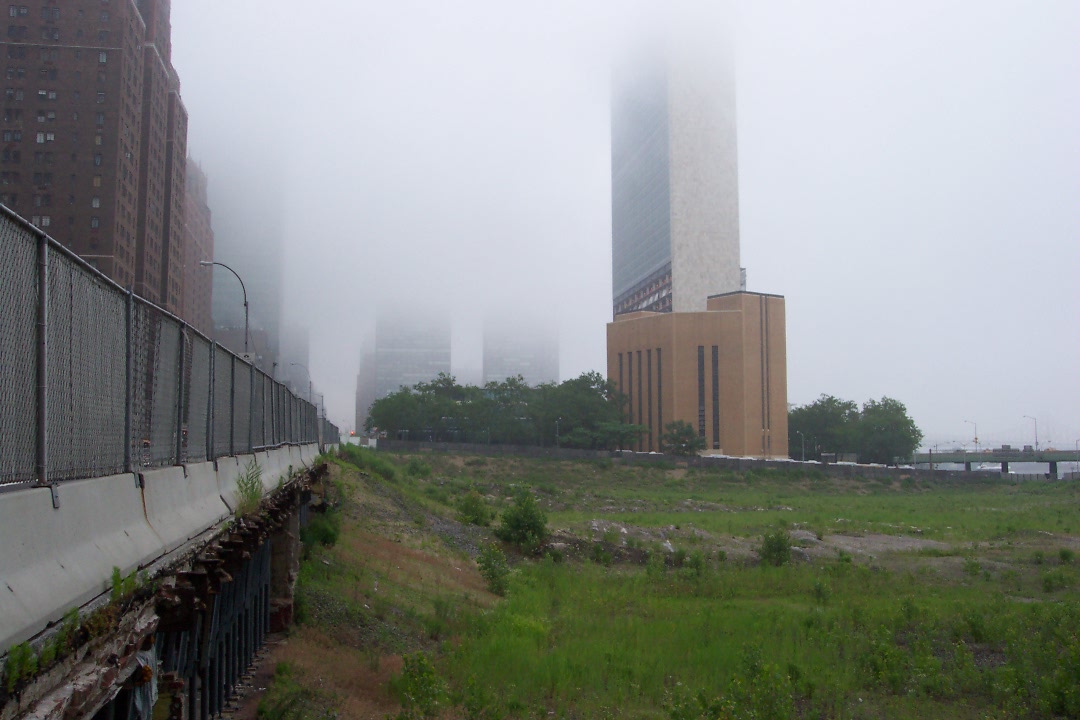 Sheldon Solow's prairie along First Ave. between 38th and 41st streets - UN building in background. June 2011. Photo: W Fields.
